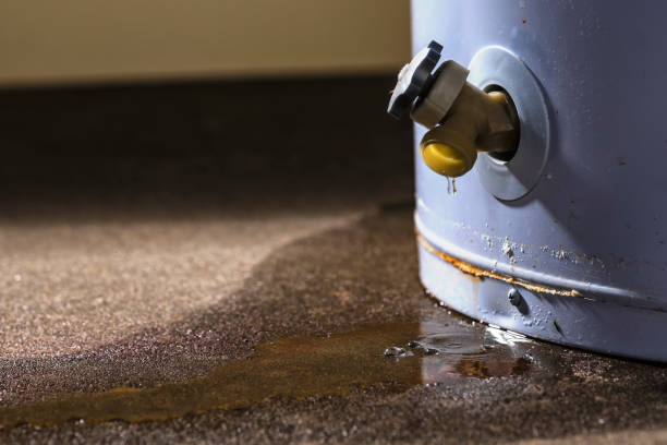 Best Flood damage cleanup  in Waimanalo Beach, HI