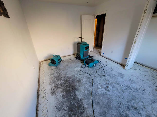 Best Water damage restoration experts  in Waimanalo Beach, HI