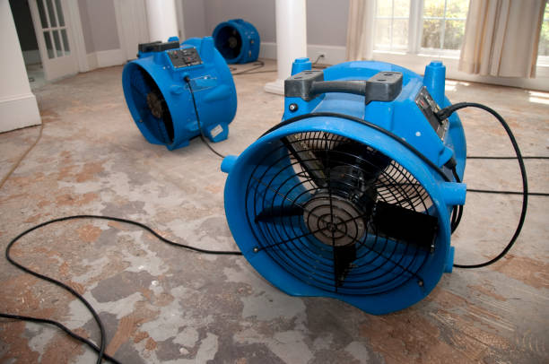 Best Ceiling water damage repair  in Waimanalo Beach, HI