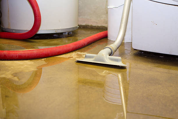Best Professional water damage repair  in Waimanalo Beach, HI